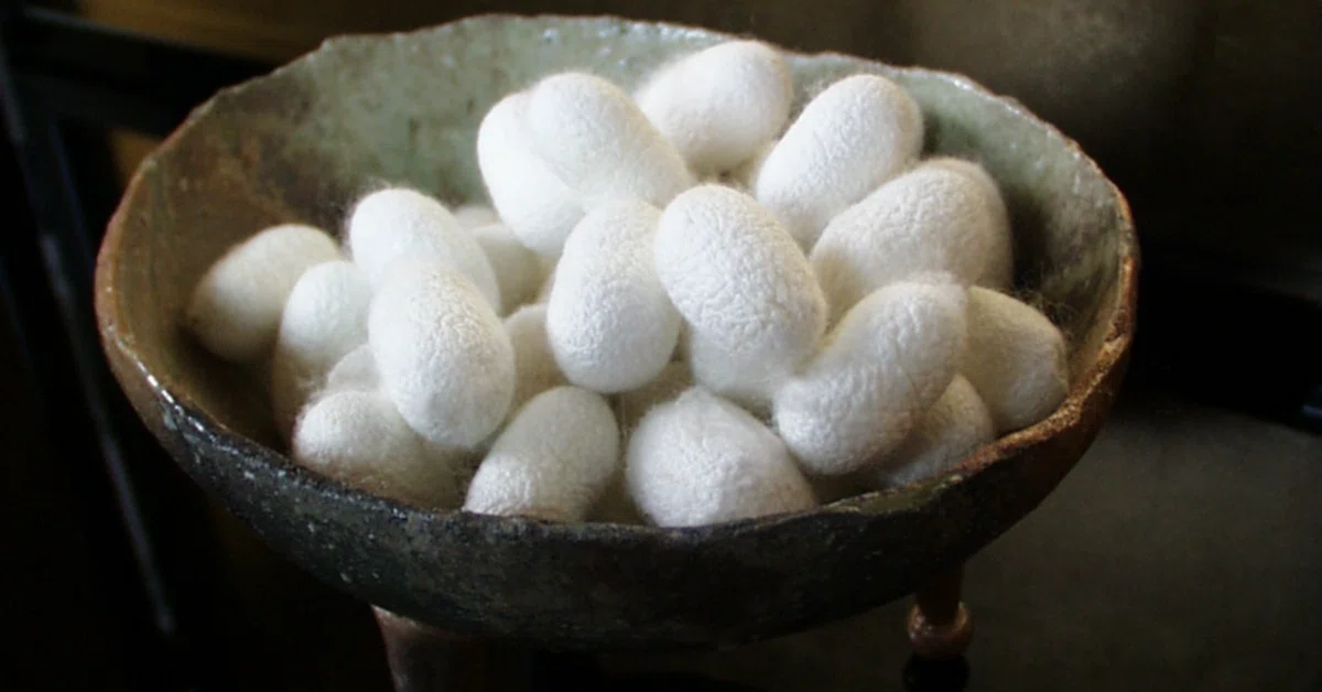 [Pharmacist: Thoughts on Natural Fibers] I believed in the 