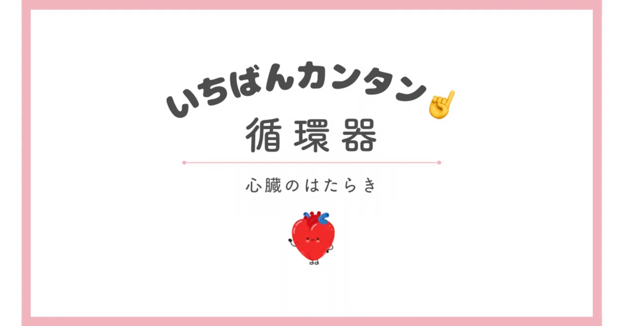 [Free Distribution] The Basics of Heart Function 🫀 The Easiest Guide ...