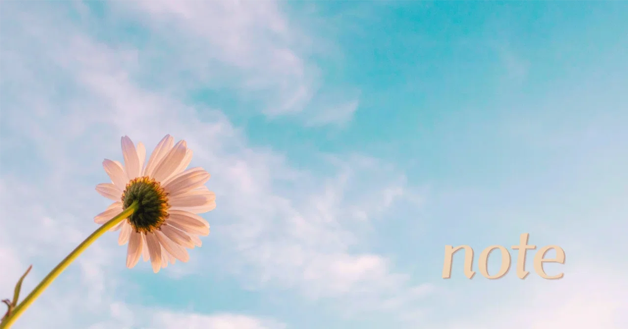 A World of Ten Quadrillion, A Single Flower｜納言。