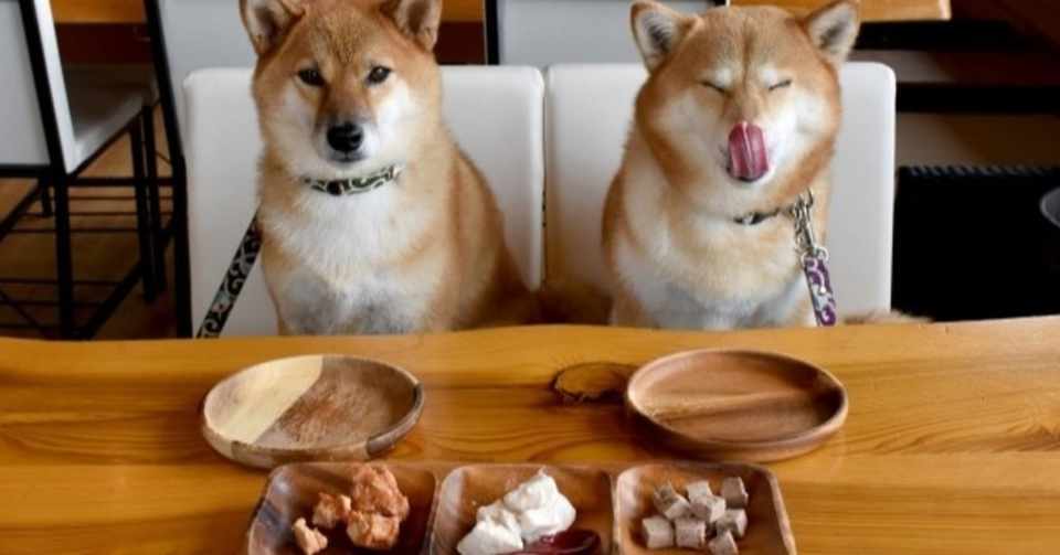 おやつであげる物に気を付けよう 犬の飼い主サポートのplam Note