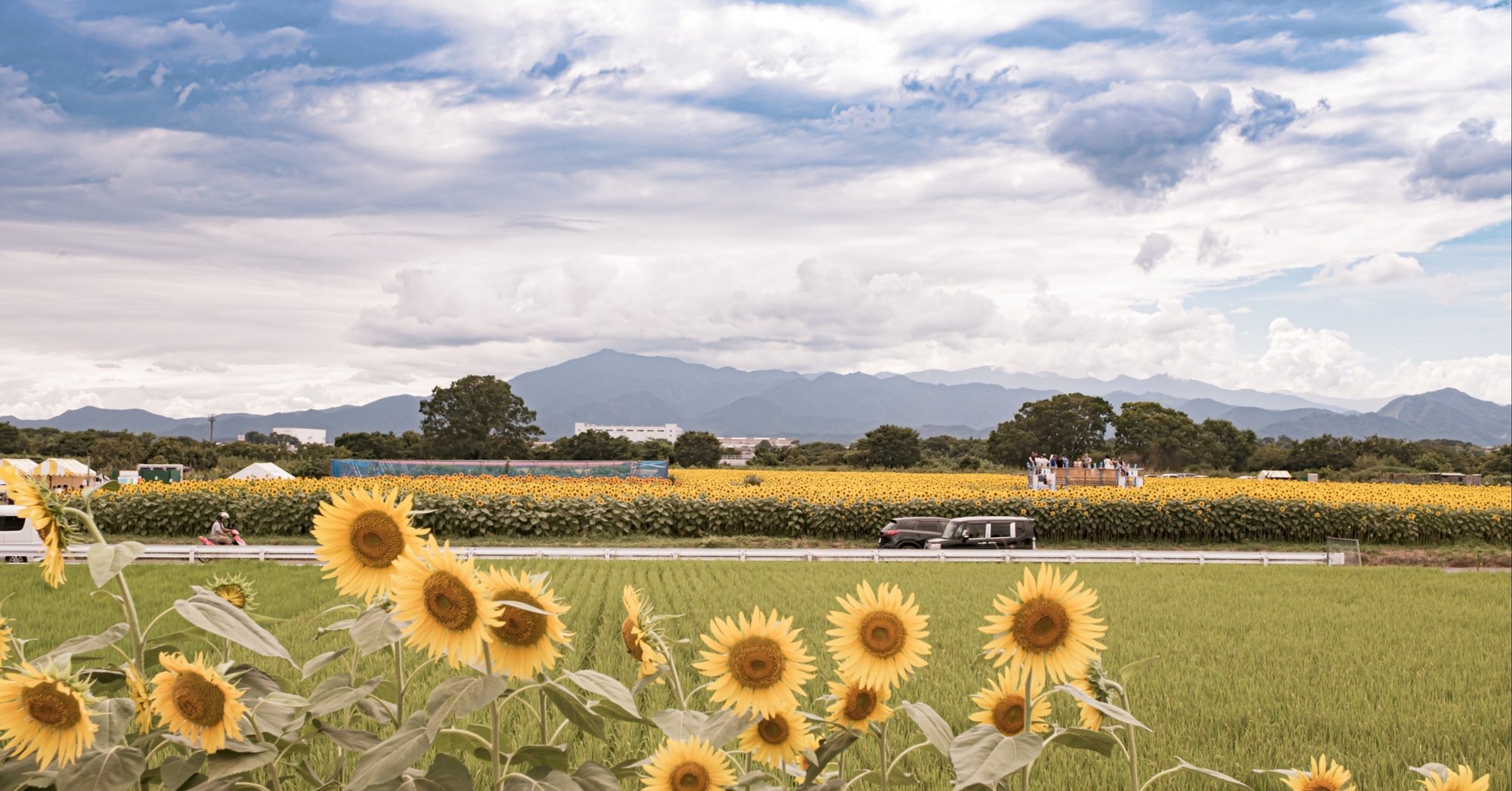暑い夏を乗り切るぞ ファミリハつくば Note 暑い夏を乗り切るぞ ファミリハつくば Note