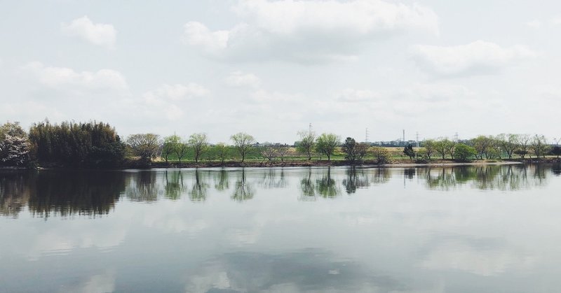 対岸の彼女 感想 考察 なぜ人との繋がりは尊いか hano note