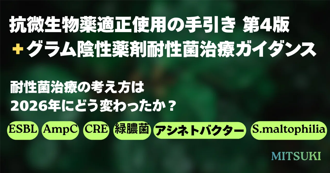 耐性菌の治療方針｜2026年の2つの文書で整理する｜Mitsuki みつき 抗菌