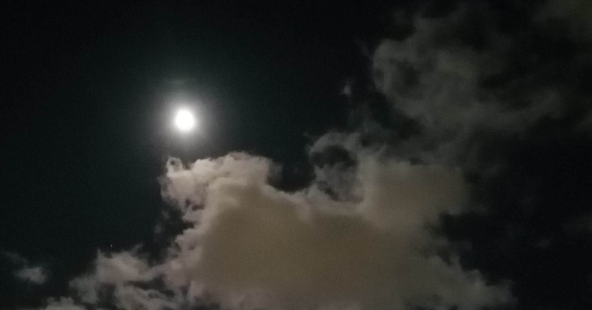 誰が夕顔を殺したか 源氏物語の 悪役 を解析する面白さ 砂崎 良 Note 誰が夕顔を殺したか 源氏物語の 悪役 を解析する面白さ 砂崎 良 Note