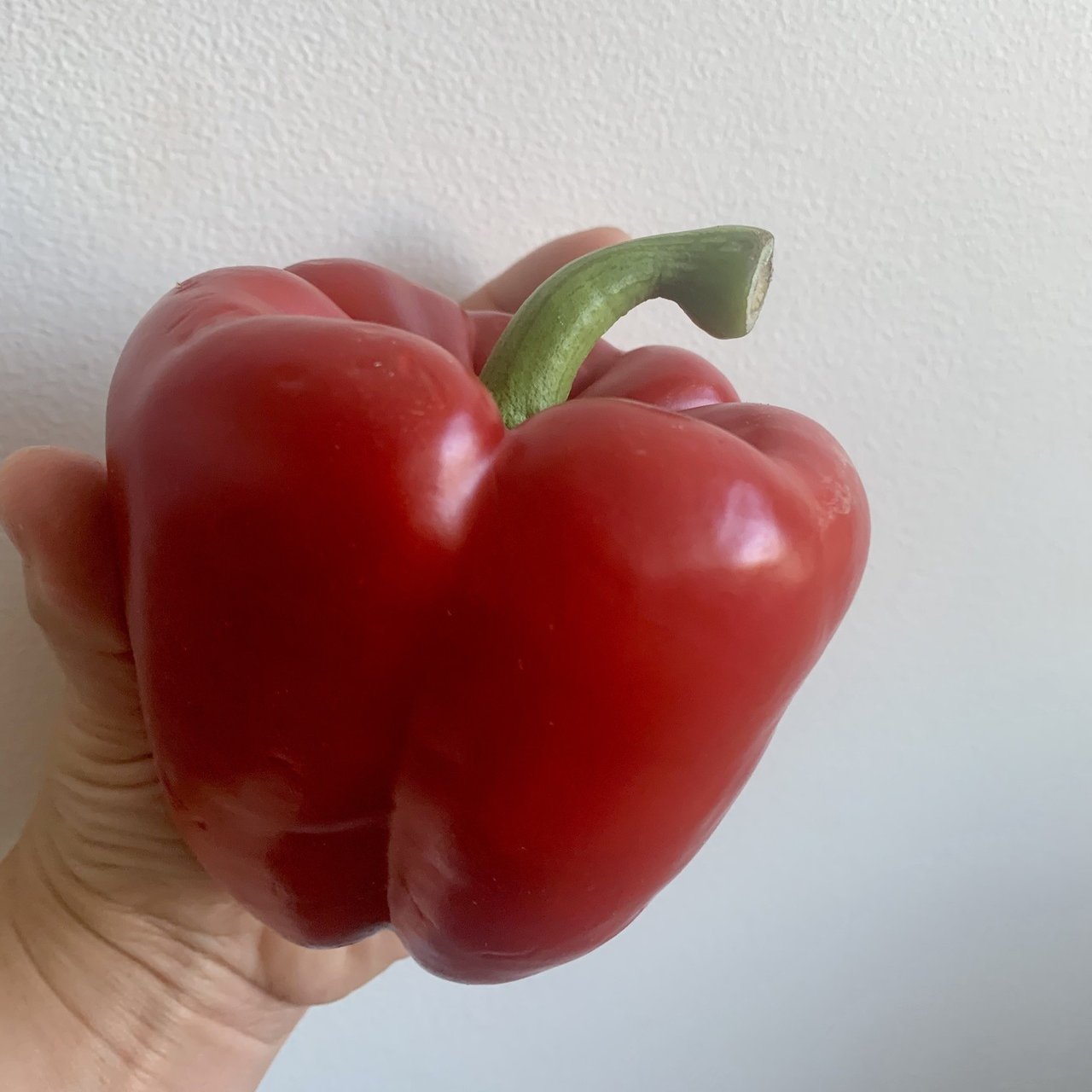 ピーマンの代用の野菜 プリヒル姉さん 魚屋 Note