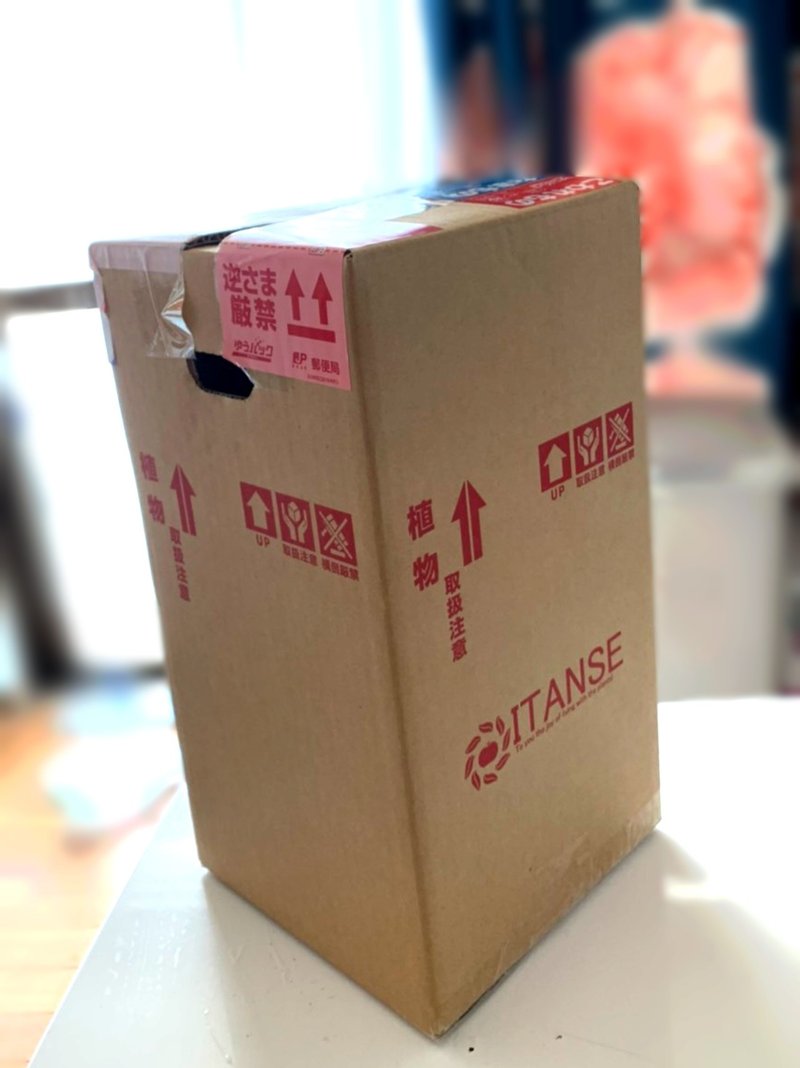 ベランダ園003 ついにitanseさんから苗が届いた ポッチャリーノシェスタコビッチ Note ベランダ園003 ついにitanseさんから苗が届いた ポッチャリーノシェスタコビッチ Note