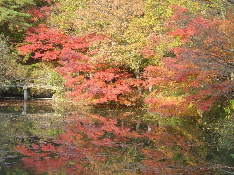 神戸森林植物園 05