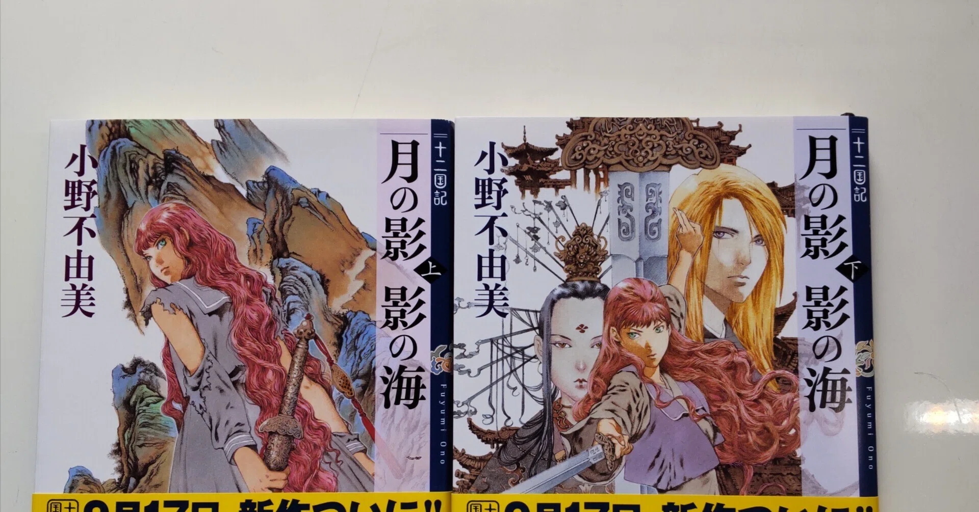 月の影 影の海(小野不由美)｜中川希美