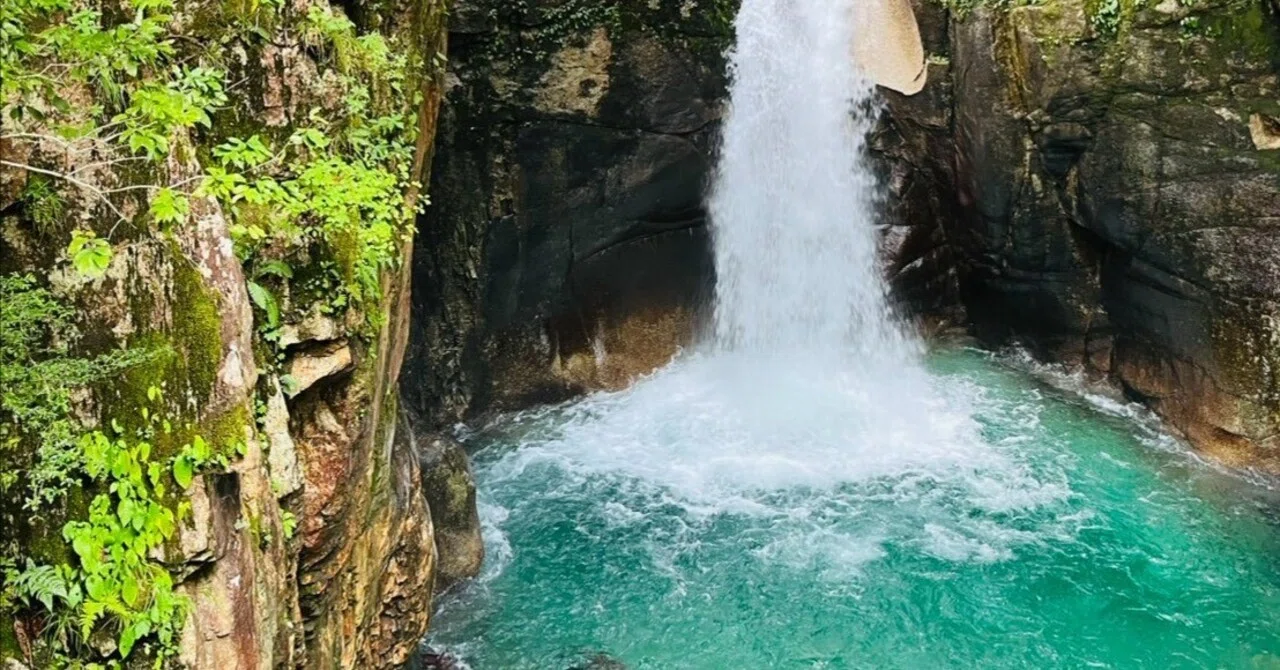 Clear water and green gradients. Why we feel comfort in our travels｜odd ...
