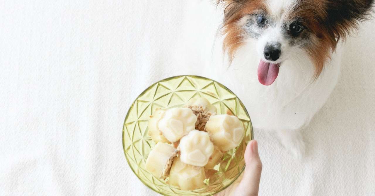 製氷皿でok さつまいもとヨーグルトのアイスタルト 手作り犬おやつレシピ 犬ごはん先生いちかわあやこ Official Web Site