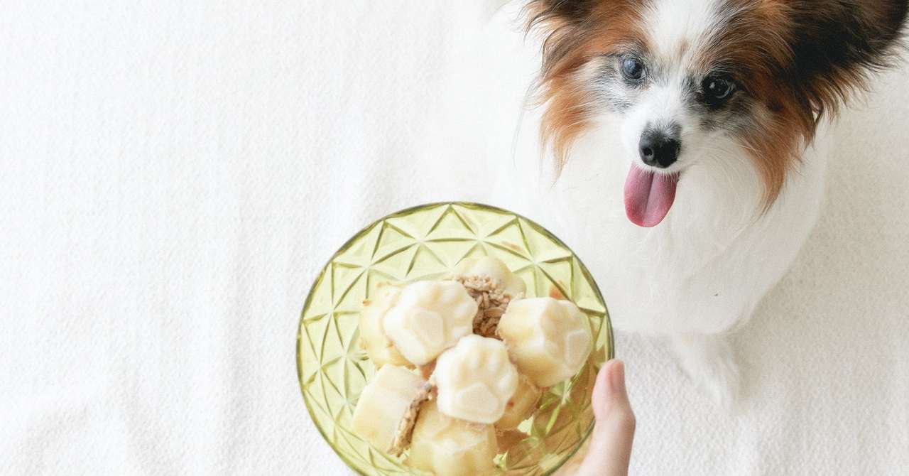 製氷皿でok さつまいもとヨーグルトのアイスタルト 手作り犬おやつレシピ 犬ごはん先生いちかわあやこ Official Web Site