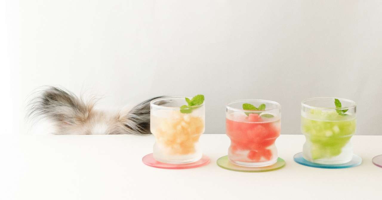 凍らせるだけ スイカ メロン 桃のフルーツネード 手作り犬おやつレシピ 犬ごはん先生いちかわあやこ Official Web Site