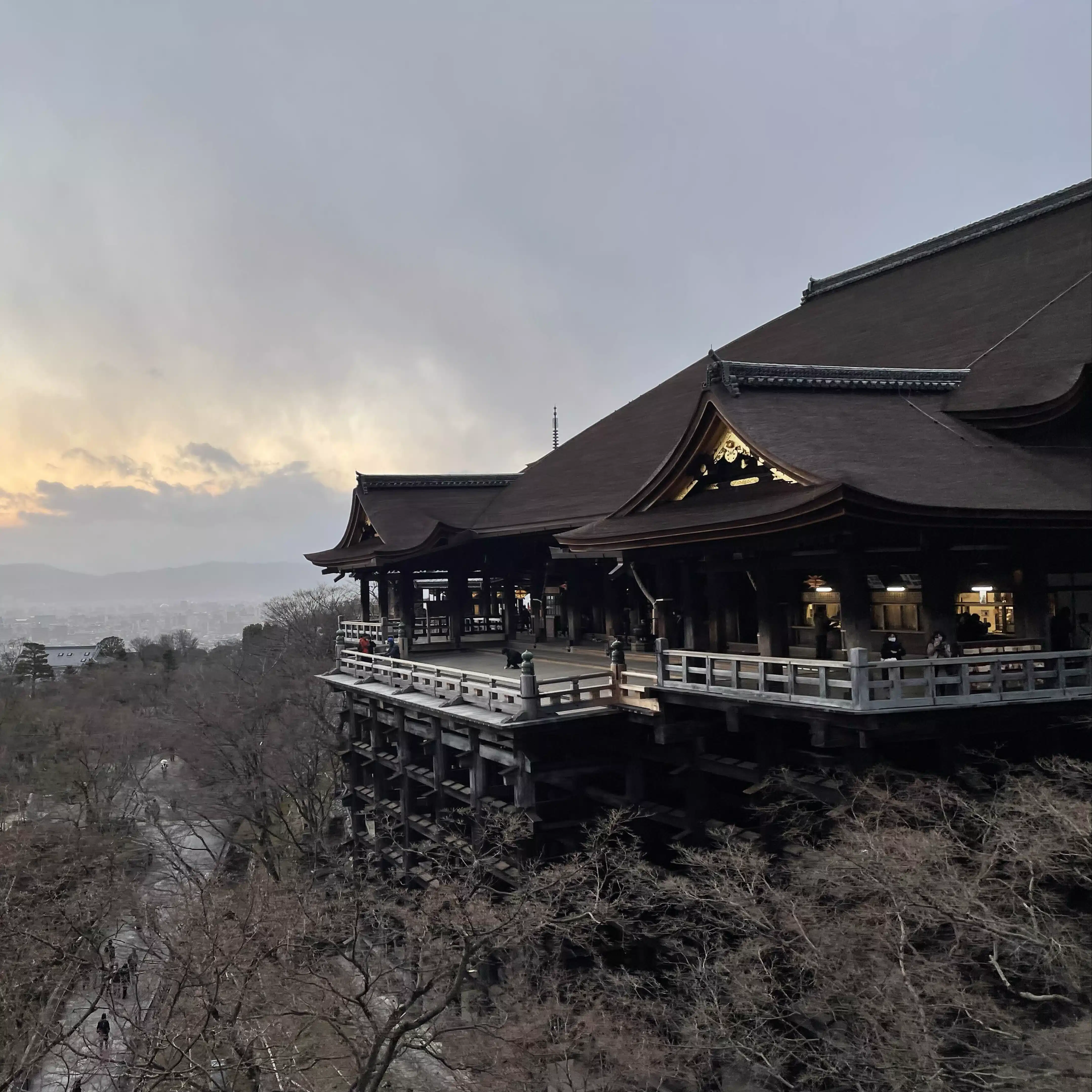 水田圭司