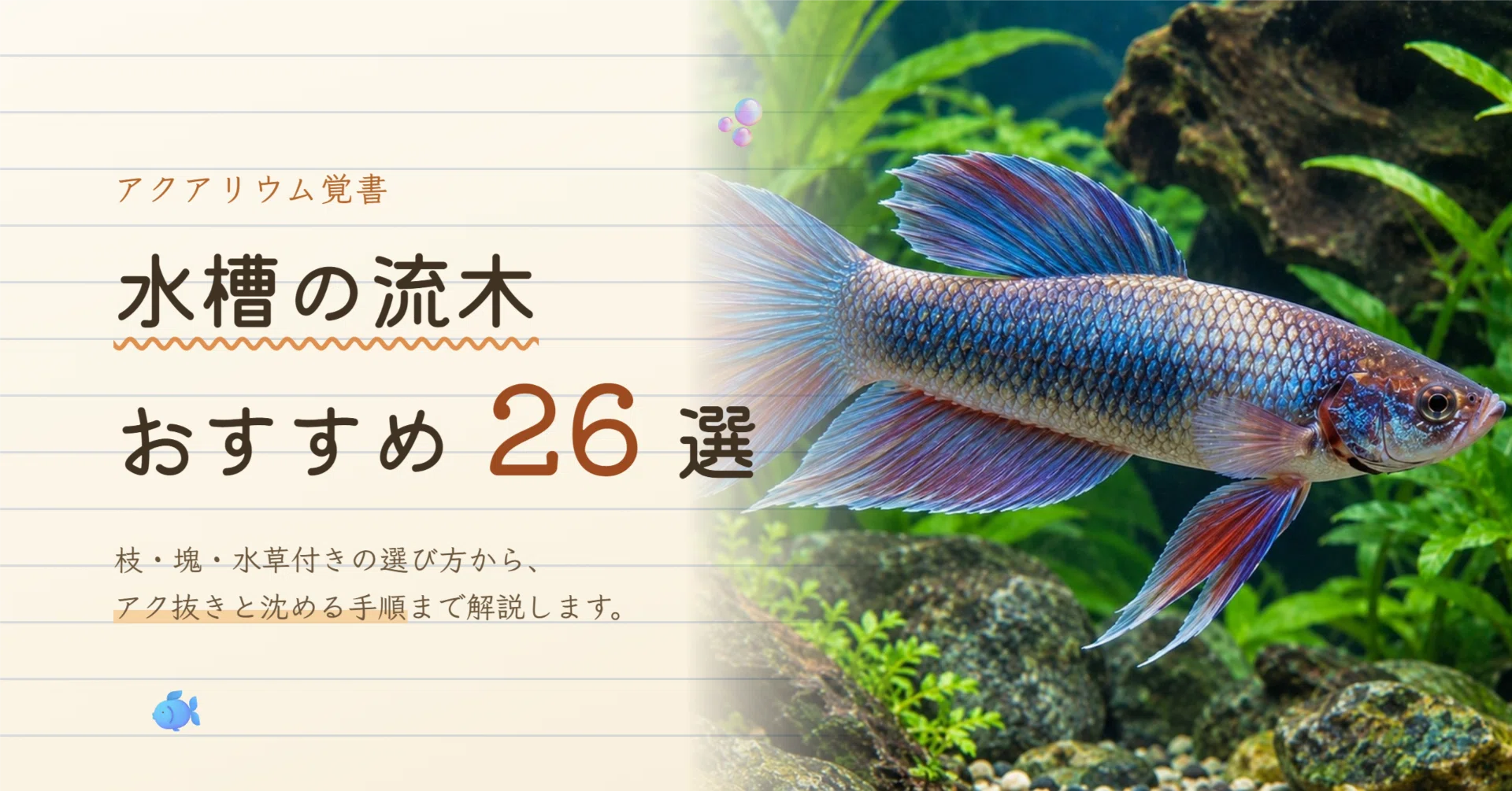 水槽の流木おすすめ26選｜枝・塊・水草付きの選び方とアク抜きの手順