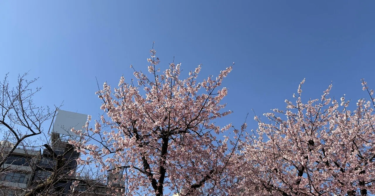 Spring Break with Our Eldest Son Home. 3 Weeks of Family Fun｜暮らし、ときどき旅