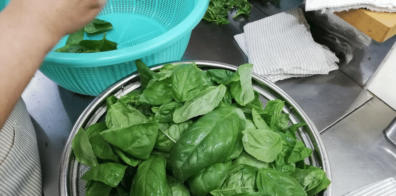 バジルがたくさん手にはいったのでペースト作り 三浦サトシ トマトで楽しむオホーツク オホーツクトマトタウンをつくろう Note