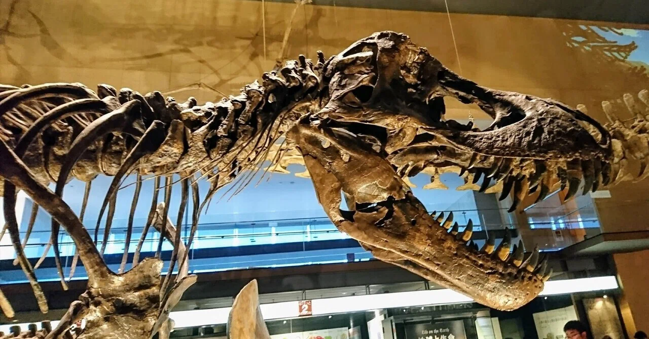 I really loved dinosaurs. -Fossil Fighters Edition-｜やまもっちゃん2