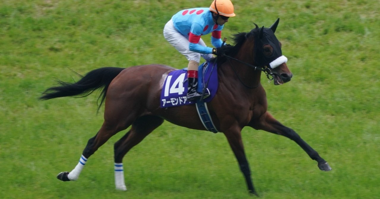年度シルクホースクラブ募集馬 馬神 傑 Note