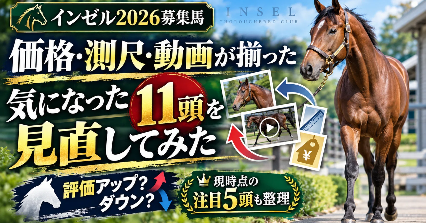 Carrot Club 2026 Yearling Draft Begins】 Catalog and Videos