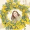 mimose