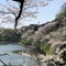 シヨカ