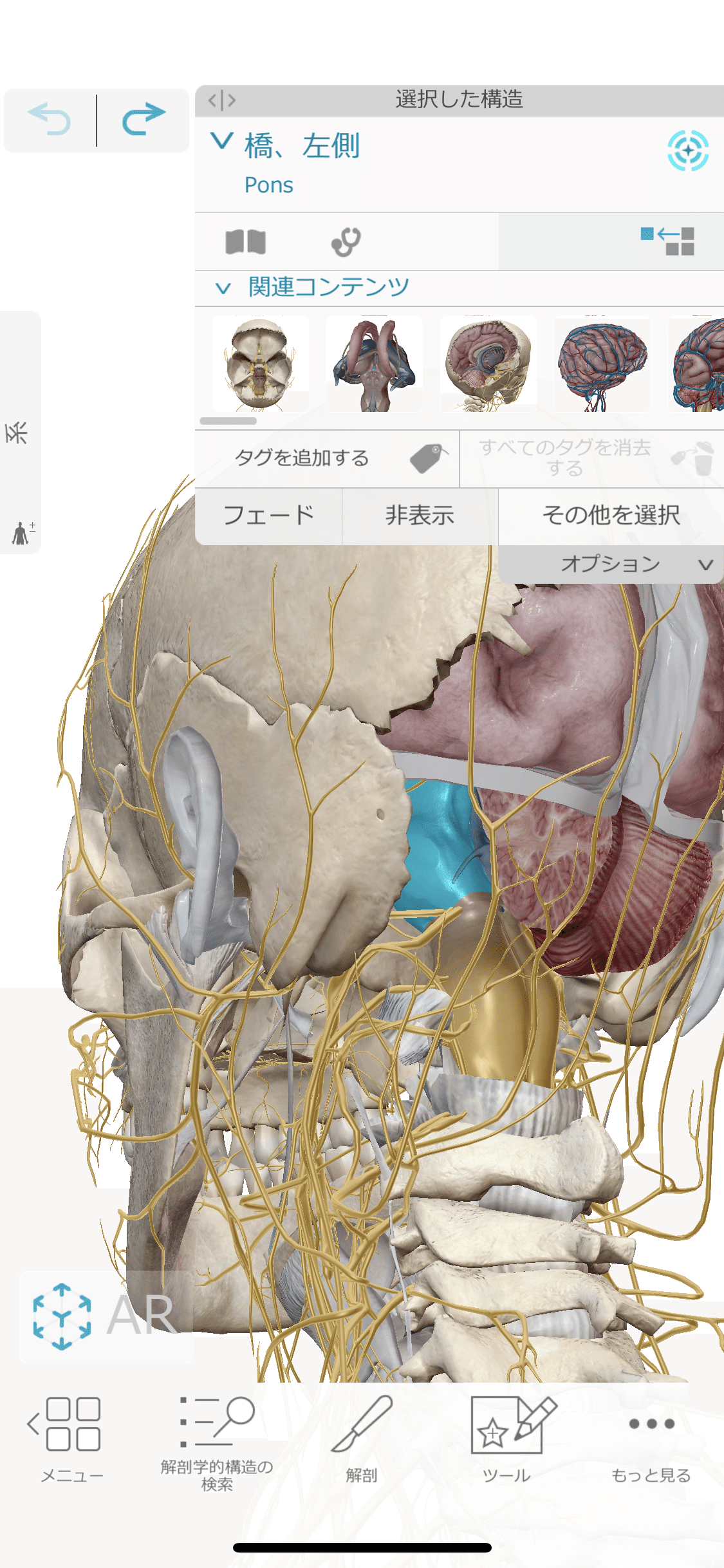 画像14