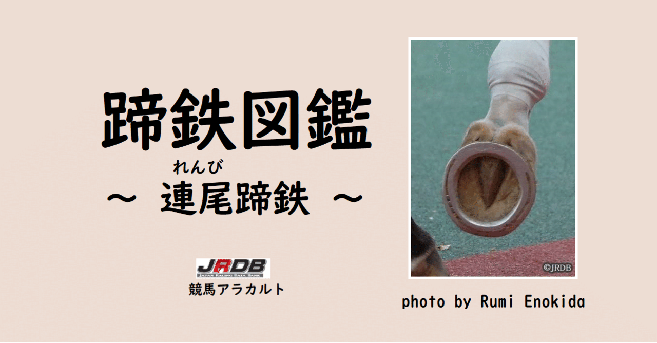 保障できる 蹄鉄図鑑～連尾（れんび）蹄鉄～｜JRDB 競馬アラカルト コレクション