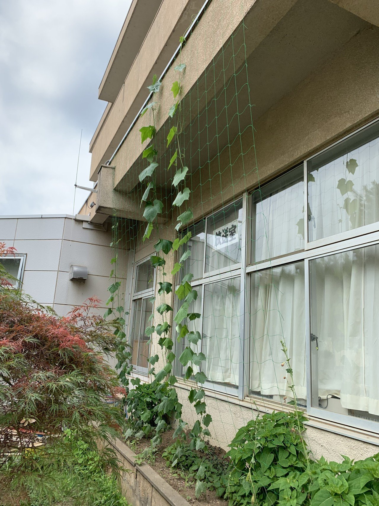 7 22 ヘチマの花 We Can Do It Note 7 22 ヘチマの花 We Can Do It Note