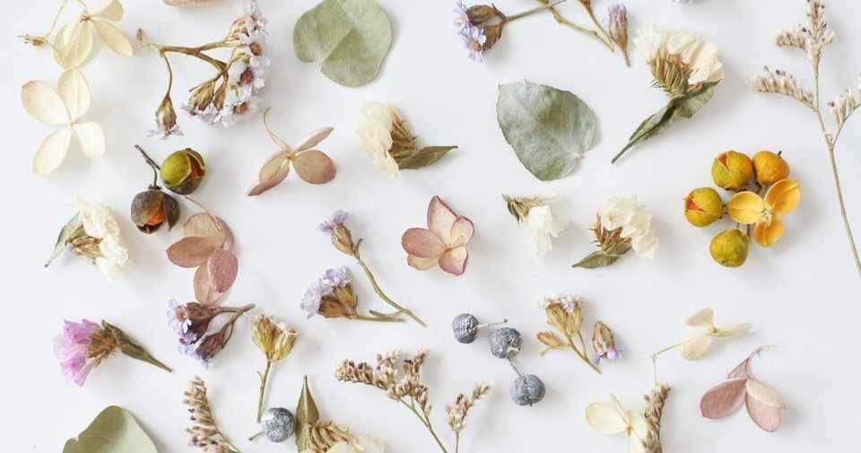 明け透けな音楽 Mimitsuki Note