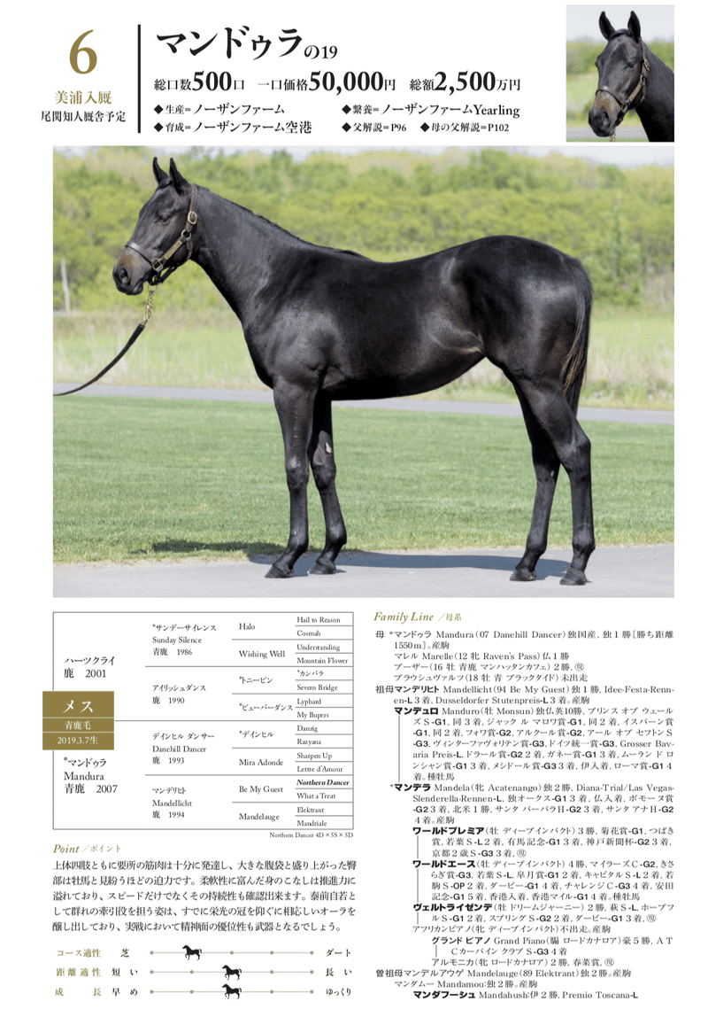 年度シルクホースクラブ募集馬 馬神 傑 Note