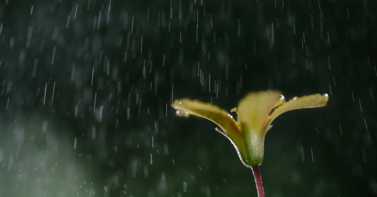 Creating an Impossible World with a Macro Lens and Strobe, Part 1 ...