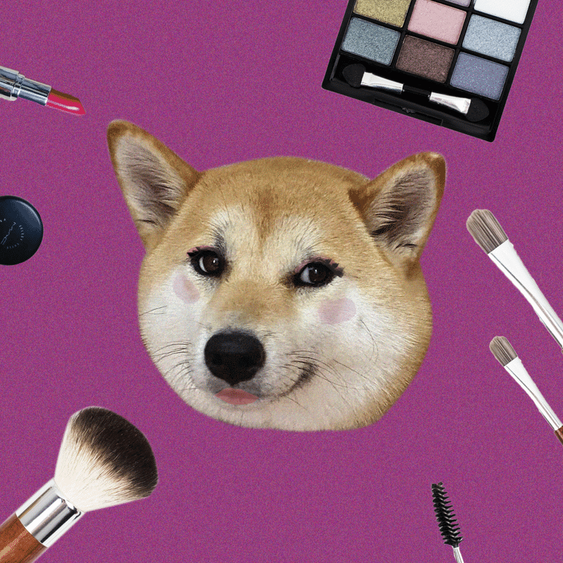 犬に化粧をしたらどうなる イヌイヌイ Note