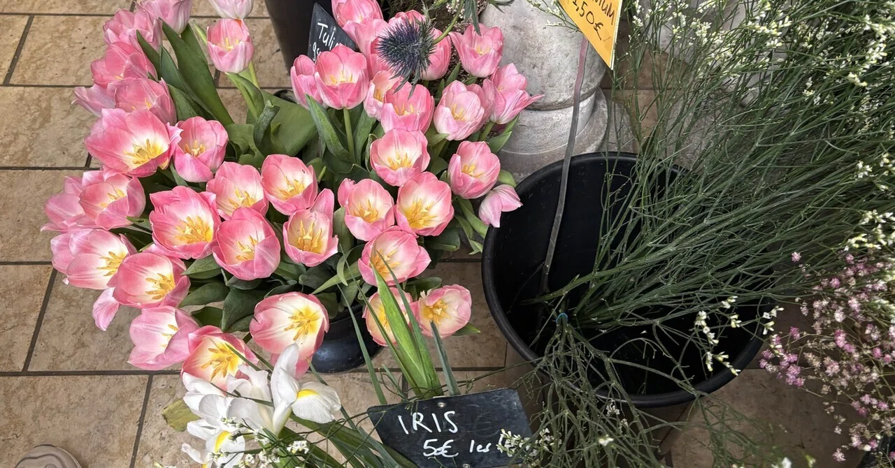 “Do Parisian women really carry Polène?” My daily life of checking the ...