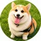 おこめ