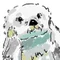 らっこ