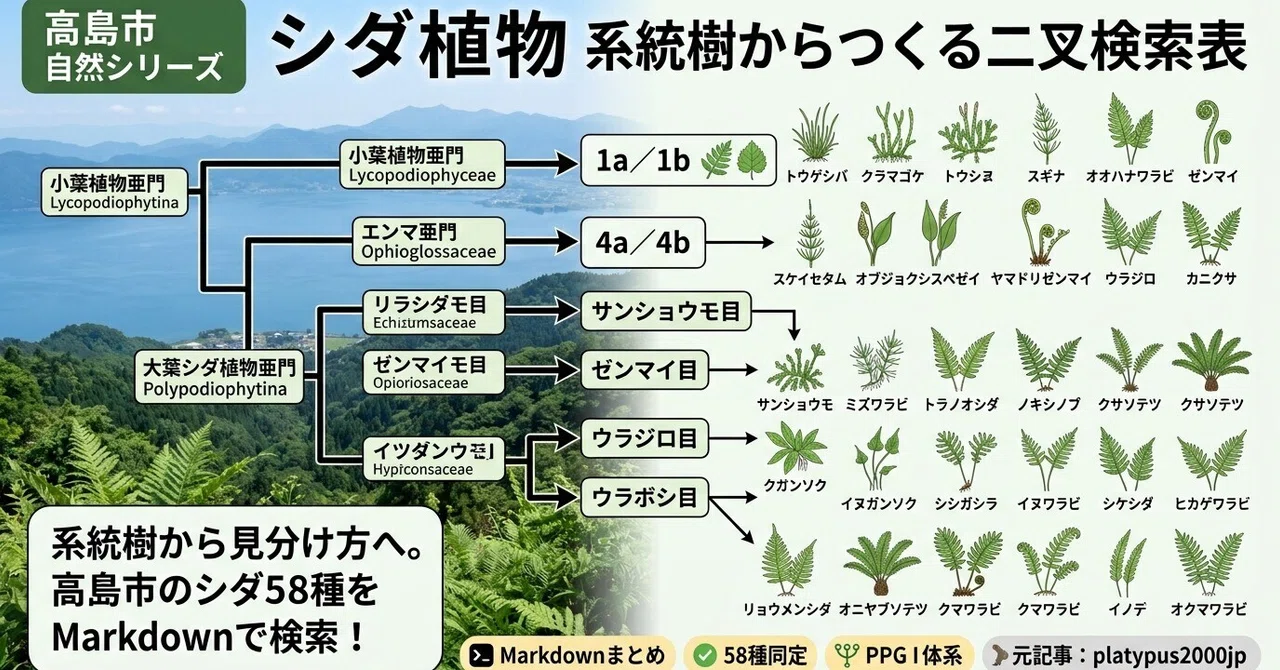 Nature of Takashima City Series — Dichotomous Key Created from ...