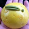 やまびこ