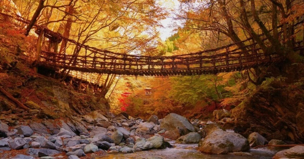 Is the thrill of a suspension bridge an illusion? Or a guide for the ...