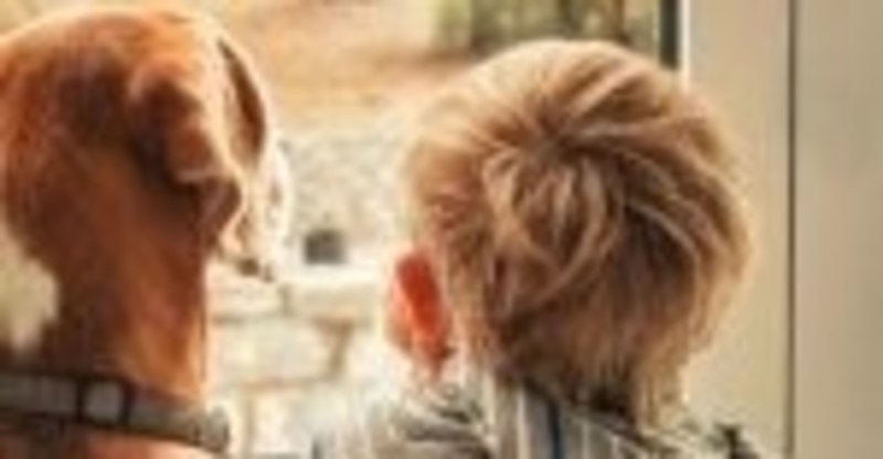 犬と子どもの育て方 犬育てと子育て 学習の仕組みの共通点と目的の違いについて タナカアカリ Note