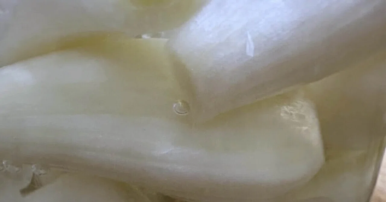 Pickled Scallion - Continued｜まーさん