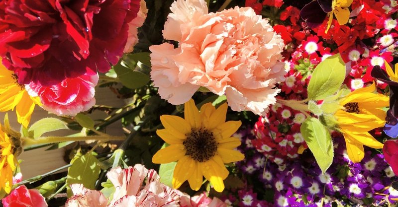 花言葉 バラの花言葉知ってる 素敵な花言葉を持つ花をまとめてみた ちびこさん Note