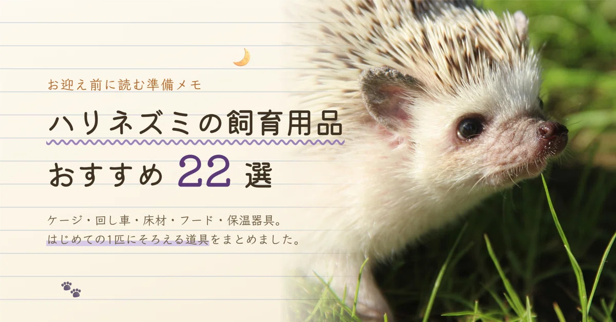 ハリネズミの飼育用品おすすめ22選｜お迎え前に揃えるものと温度管理の