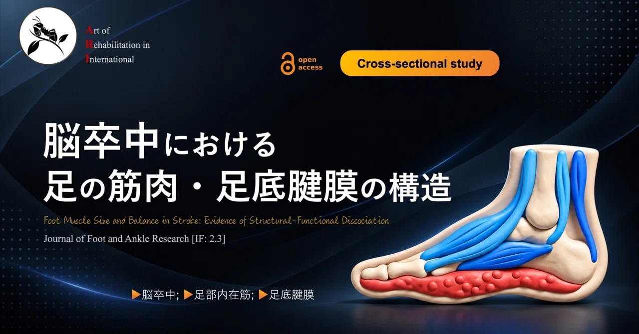 Structure of Foot Muscles and Plantar Fascia in Stroke Patients｜Super ...