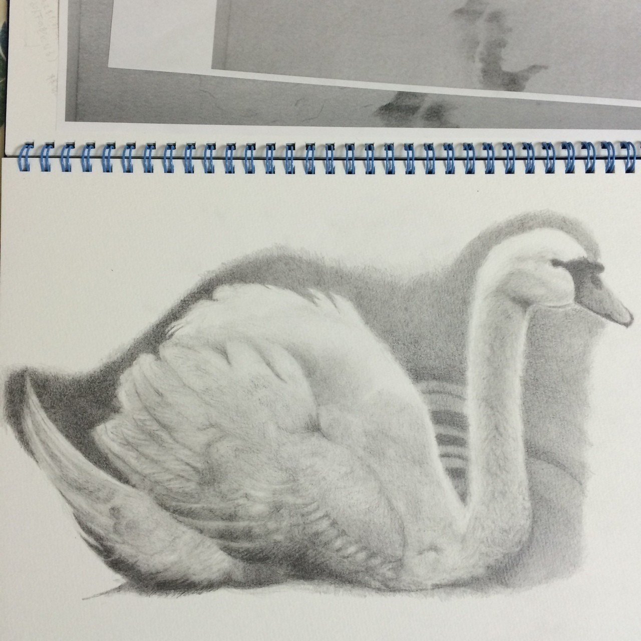 練習 白鳥 Appleyoko Note