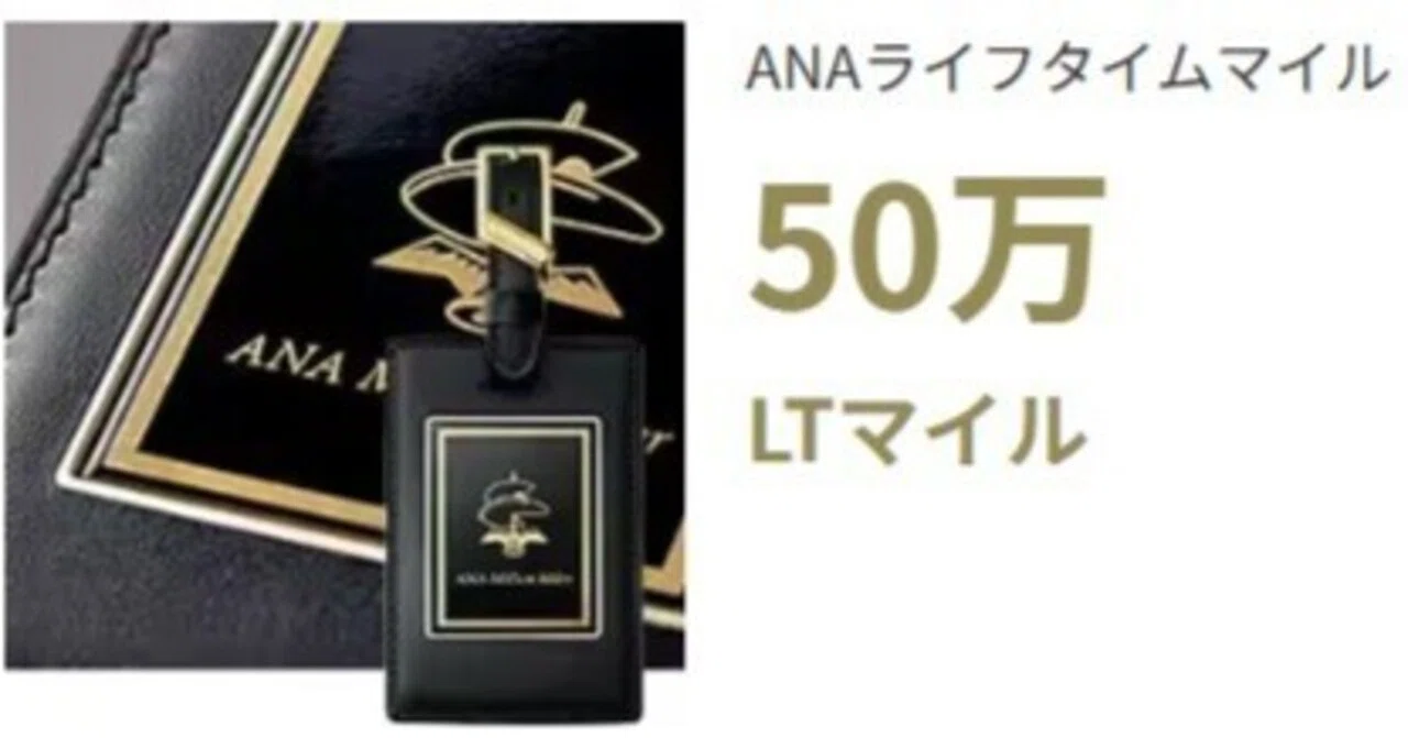 I have reached ANA Half Million Miler!｜すけさん