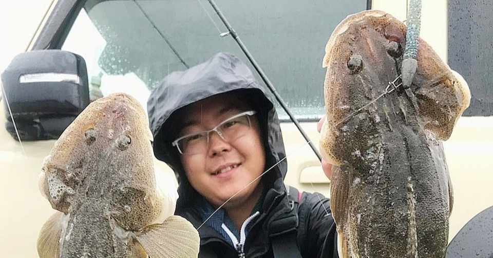 砂浜でヒラメ マゴチ狙い 石巻港でイルカに遭遇 石巻days 未来都市の生き方 Note