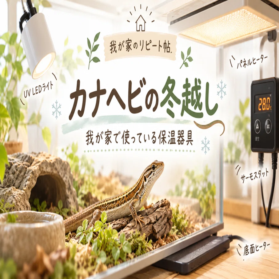 カナヘビの冬越し｜我が家で使っている暖突M・ピタリ適温プラス・UV
