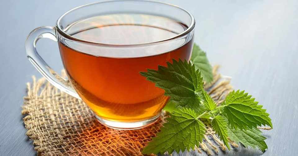 熱中症対策におすすめの飲み物 姫夏 Note