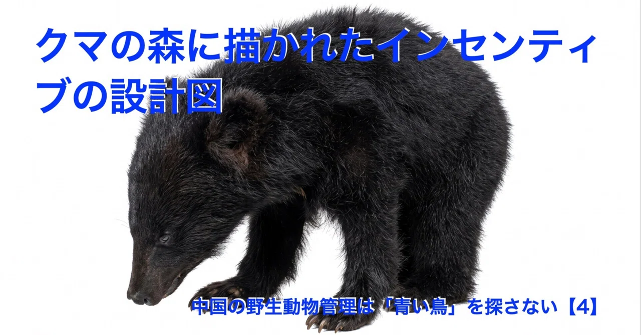 The Blueprint of Incentives Drawn in the Bear Forest｜Shiyuudou