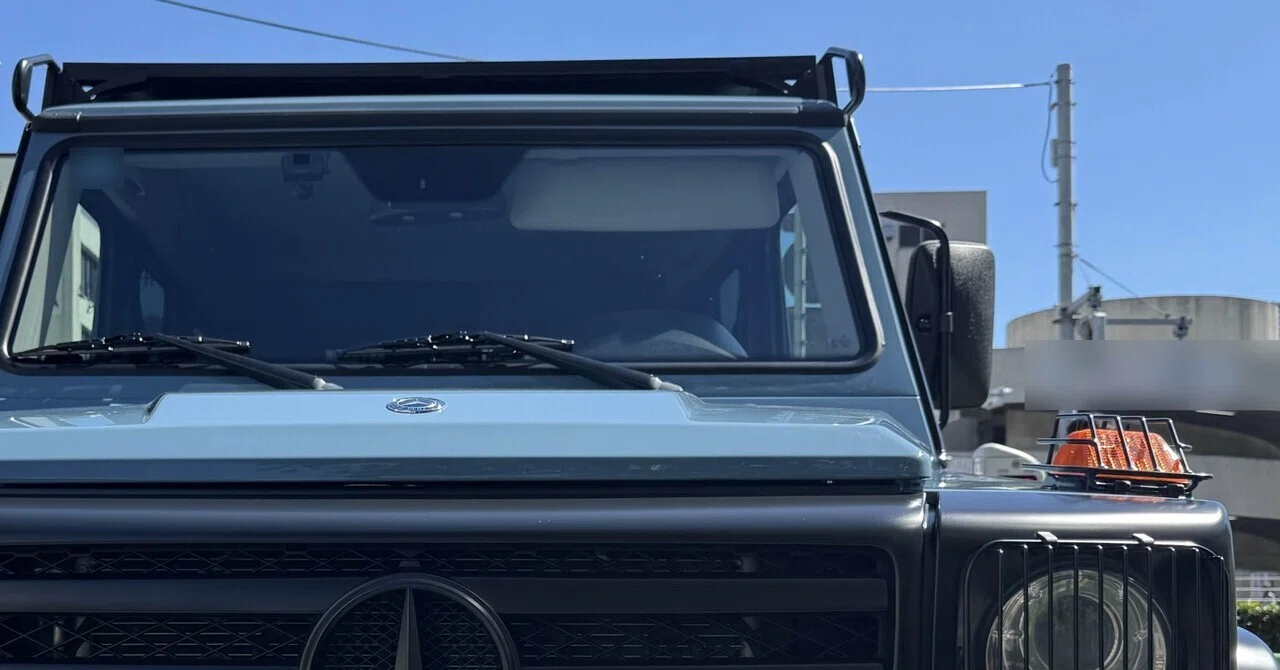 G350d Professional Delivery: Going back to reclaim what the G400d and ...